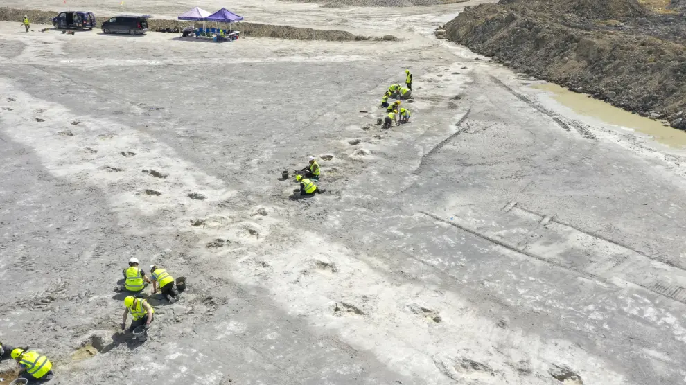 Así era la 'autopista de dinosaurios' hallada en Oxford: más de 200 huellas, cruce de herbívoros y carnívoros...