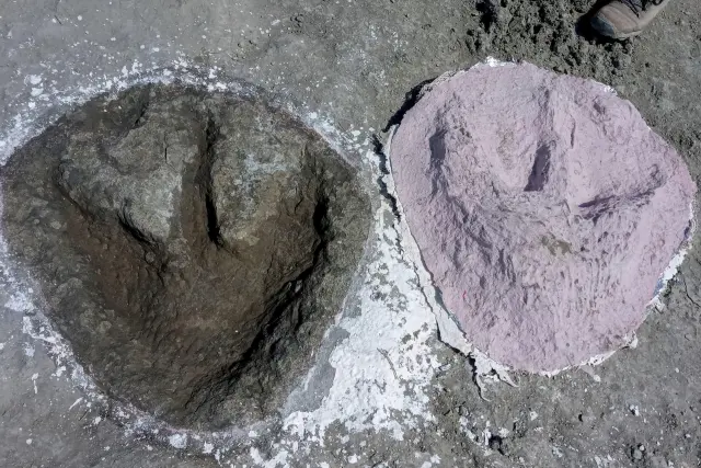 La huella más grande mide más de 150 metros de longitud.