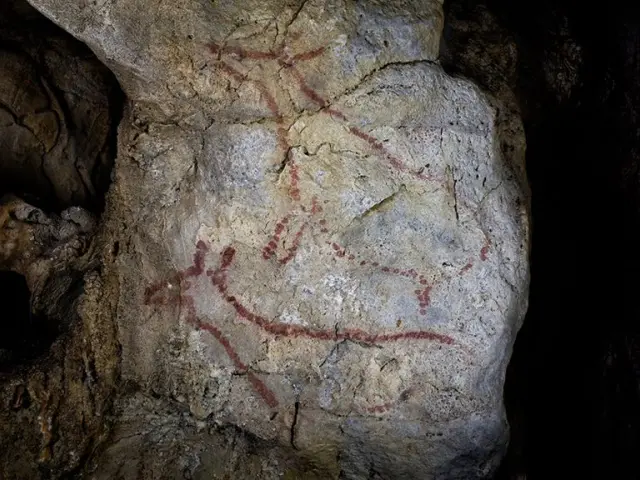 Ciervas en la Cueva de Covalanas.