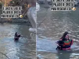 Momento en que la joven se lanza al lago del Palacio de Cristal, en el parque de El Retiro de Madrid, para rescatar a su perra.