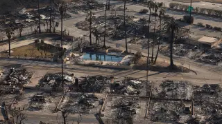 Palmeras en pie tras el incendio en Pacific Palisades.