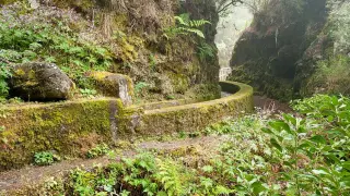 Ruta de senderismo por La Palma